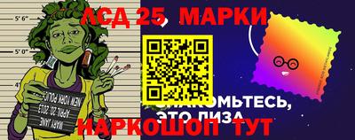 амфетамин Гатчина