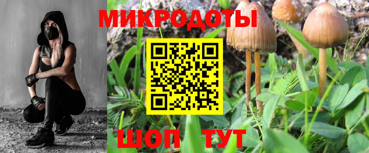 Галлюциногенные грибы мухоморы Горно-Алтайск