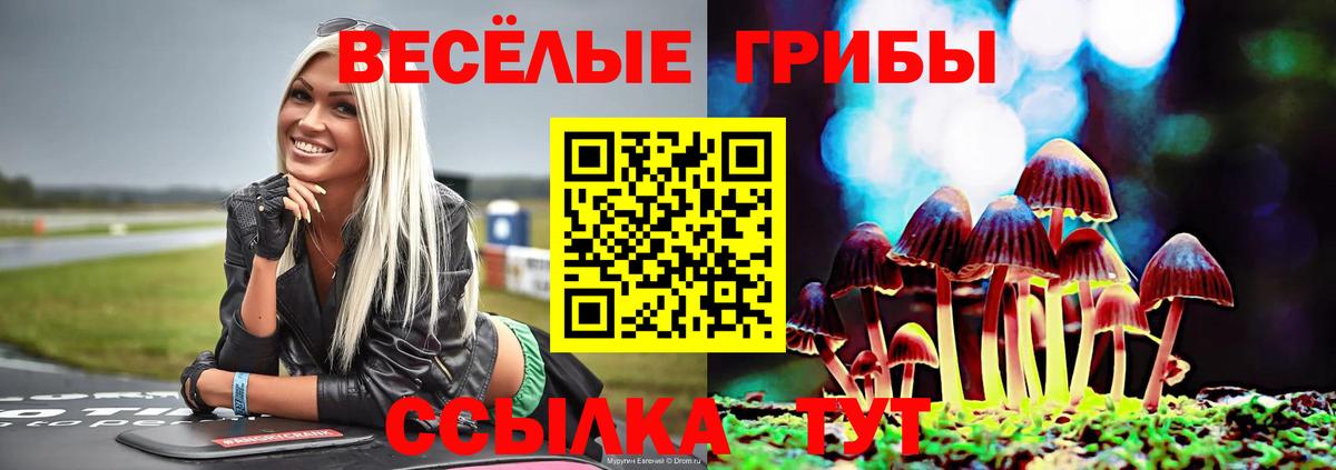 цены наркотик  Псилоцибиновые грибы MAGIC MUSHROOMS  Вход с VPN  Горно-Алтайск  Псилоцибиновые грибы GOLDEN TEACHER 
